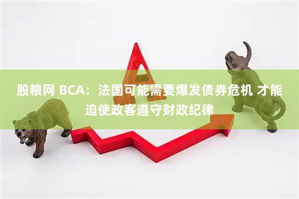 股粮网 BCA：法国可能需要爆发债券危机 才能迫使政客遵守财政纪律