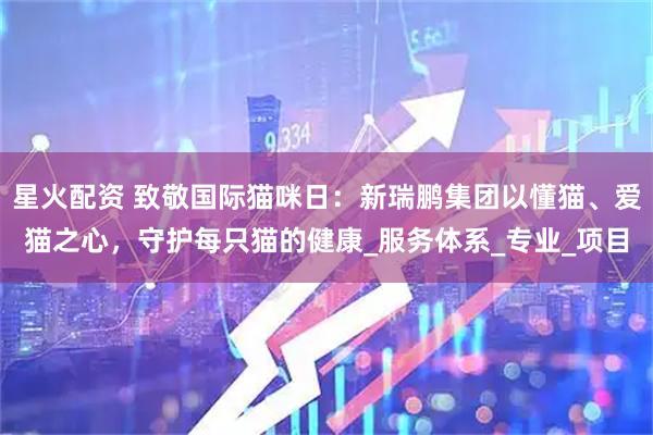 星火配资 致敬国际猫咪日:新瑞鹏集团以懂猫、爱猫之心,守护每只猫的健康_服务体系_专业_项目