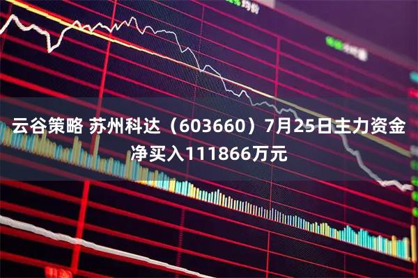 云谷策略 苏州科达(603660)7月25日主力资金净买入111866万元